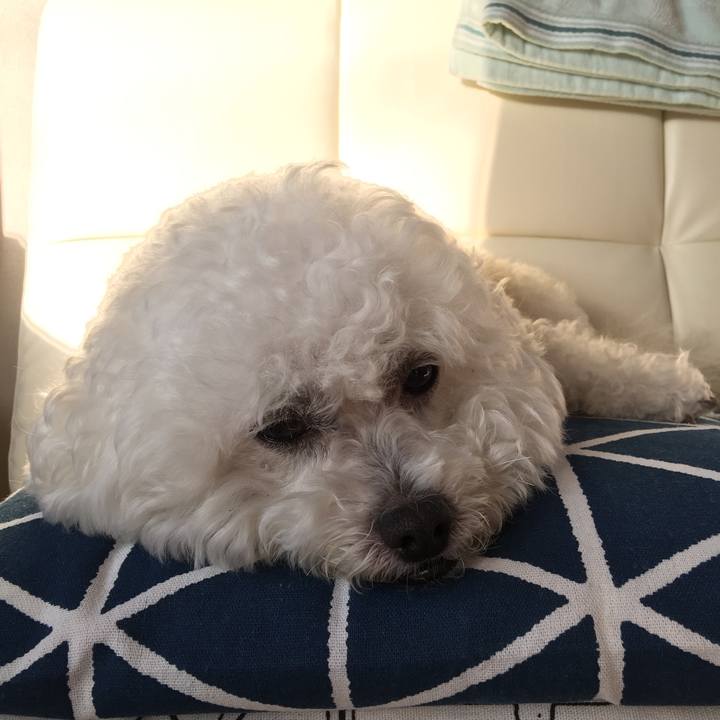 5ac0cc26 eae4 463b a96e 3be6174e1227