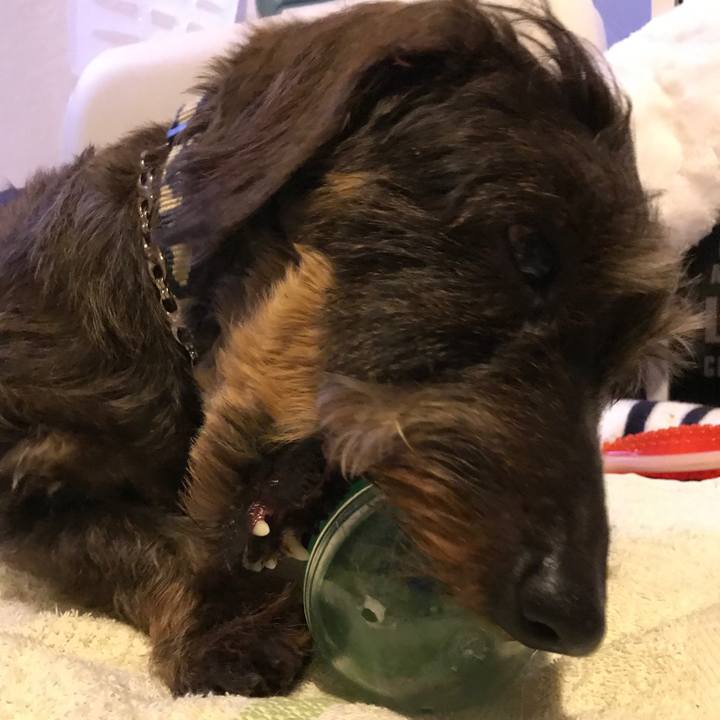 5ac0e628 8f5a 4b8a b8b2 81fb51fb1585