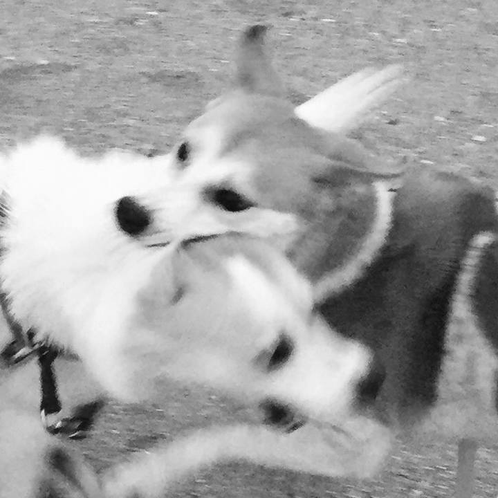 5ac14c61 b22e 4e24 a328 98da2881a716