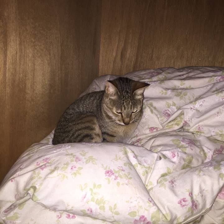 5ac17a66 e483 472e 8179 8fa1ff8584bb