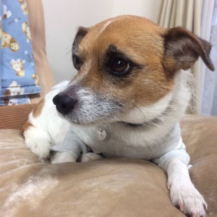 5ac1c79a 927f 4983 806f 1020726ab6a6