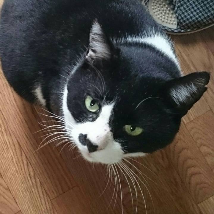 5ac237ad 69c3 4624 b4c6 9a45f8ab0d4d