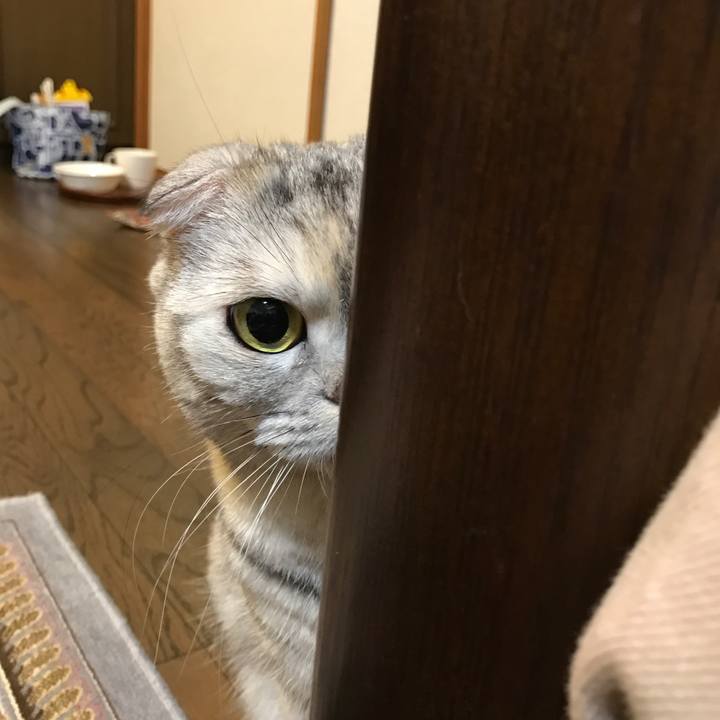 5ac2ed96 1698 48a9 a1f0 8924eeb7bc30