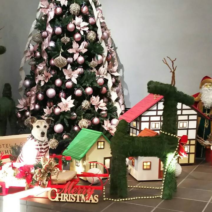 5ac38d15 b8c6 457b b20c d83e65a7d237