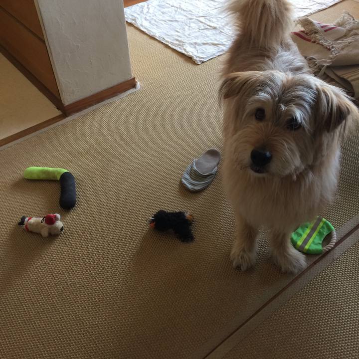 5ac3a17a 7def 4443 a824 199207bab54f