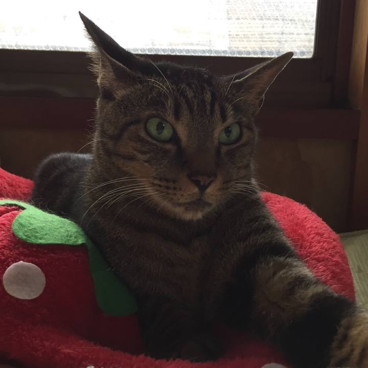 5ac4dd24 711f 46a7 a026 f8e1f2a832be