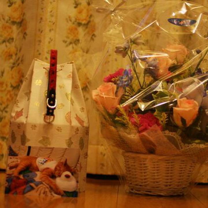 5ac5f5d6 b134 472f 926e d9b6cf566c37