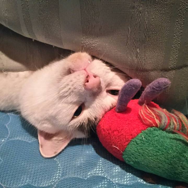 5ac6ac60 eaf4 4b69 8bb9 1a506abf23e6