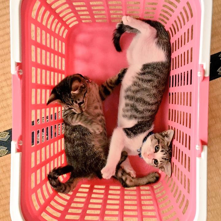 5ac6f246 bb35 49c2 acc3 b4d3450b1b2c