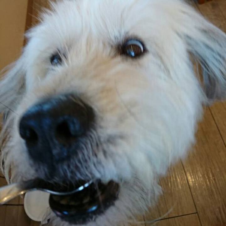 5ac70071 8fab 4356 bfba 11982cba6f97