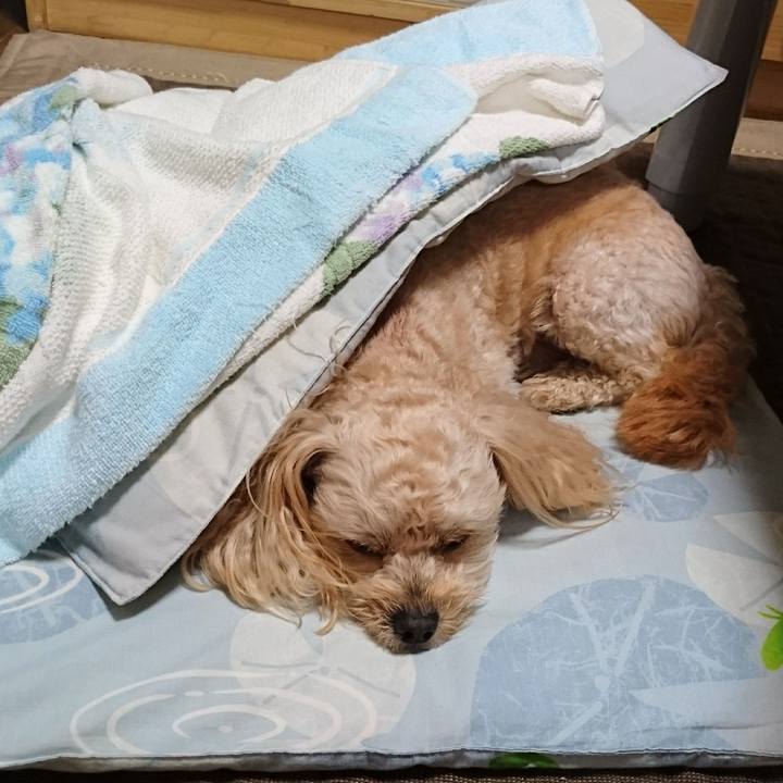 5ac766f1 684c 499d bc94 2711d90a9f00