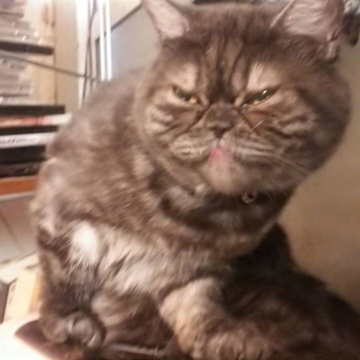 5ac7c276 dbc6 48c0 b505 066f5d89a0dc