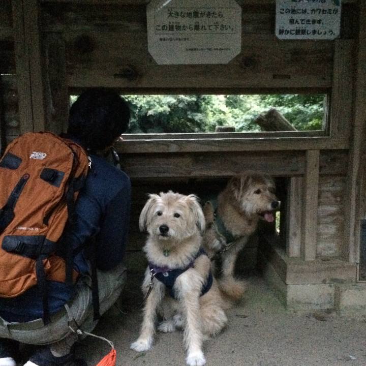 5ac7c344 72be 445d 84a4 e97a11b59910