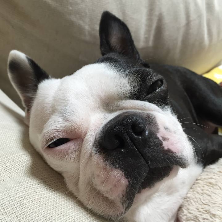 5ac842b9 55d7 48fe 8c42 b28ca18362bd