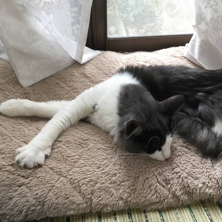 5ac87abb bd39 4b93 8dc9 21426d7fcc84