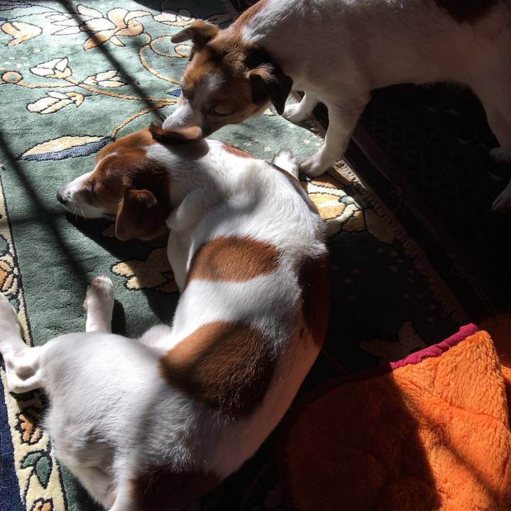 5ac8b5da 0ae3 4bc1 b628 cb98b9750d69