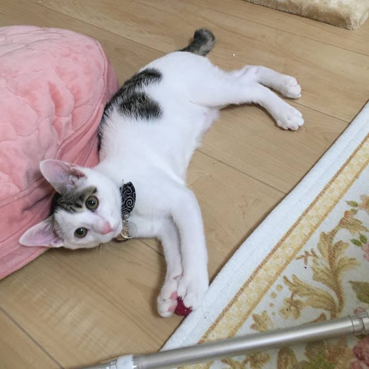 5ac9cad2 9282 4ae9 99f1 4b11e0807f0c