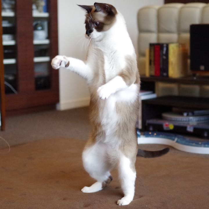 5acacbc7 1d6e 45d3 88fc e09af1d956f7