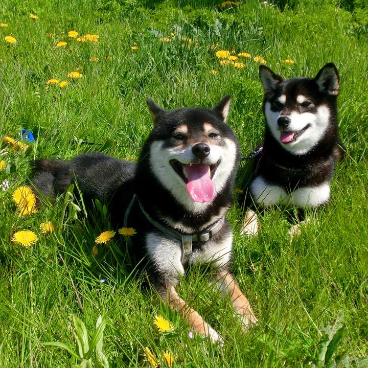 5acc1827 3c4d 42ab b17c f8dc2e93cba0