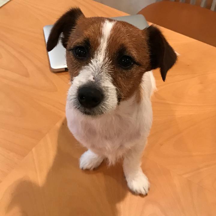 5acc1bac 48a8 47c7 825b 5c61648f012c