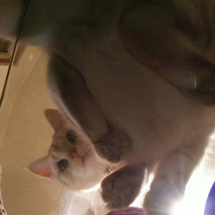 5acc2593 cd72 4423 9aae bed765c95356