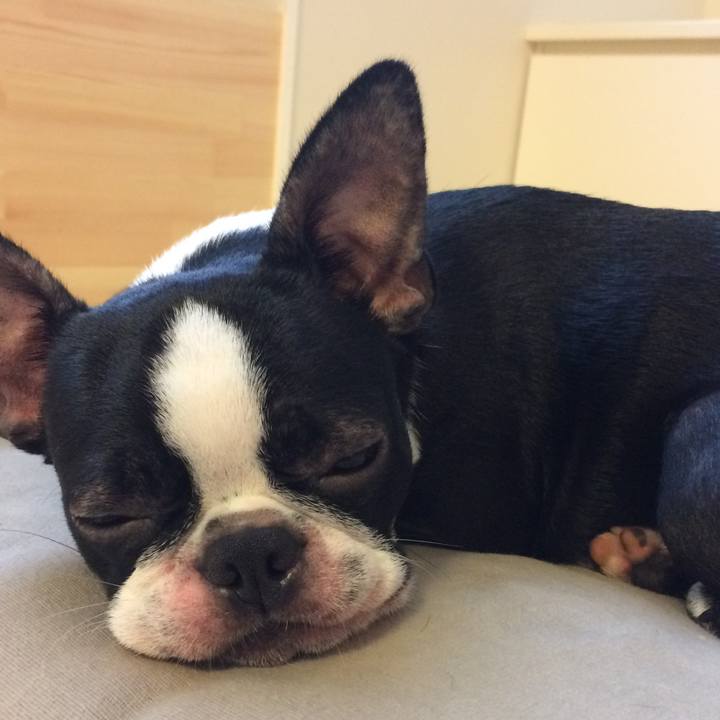 5acd1893 bb56 4ae0 9258 ae56c699ad89