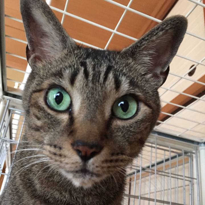 5acd32ec 0bc3 45fa 939b dfc26ed04327