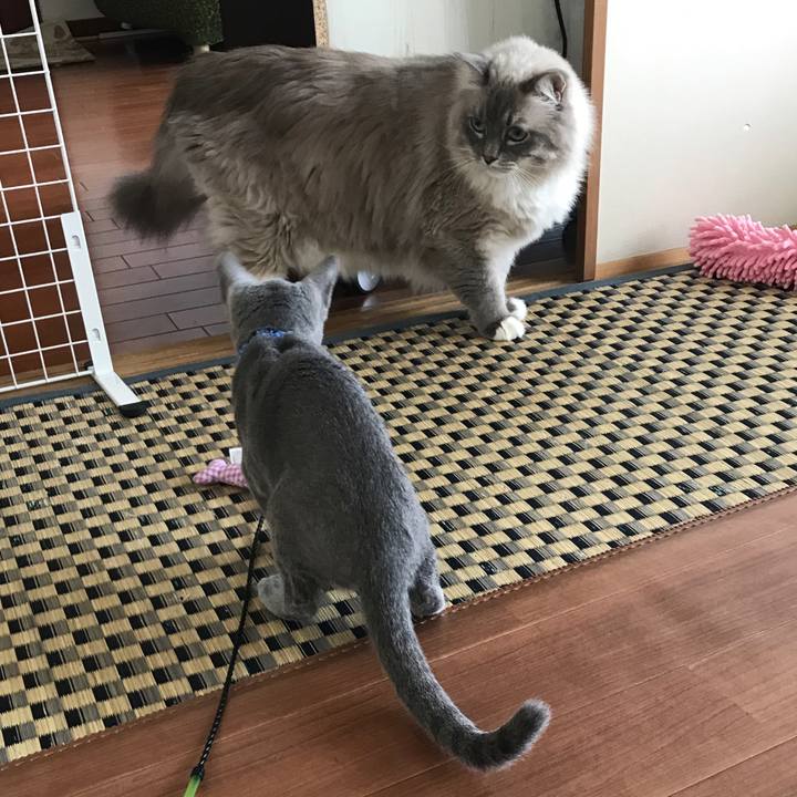 5ace00f8 e768 4097 b023 9495dea61028