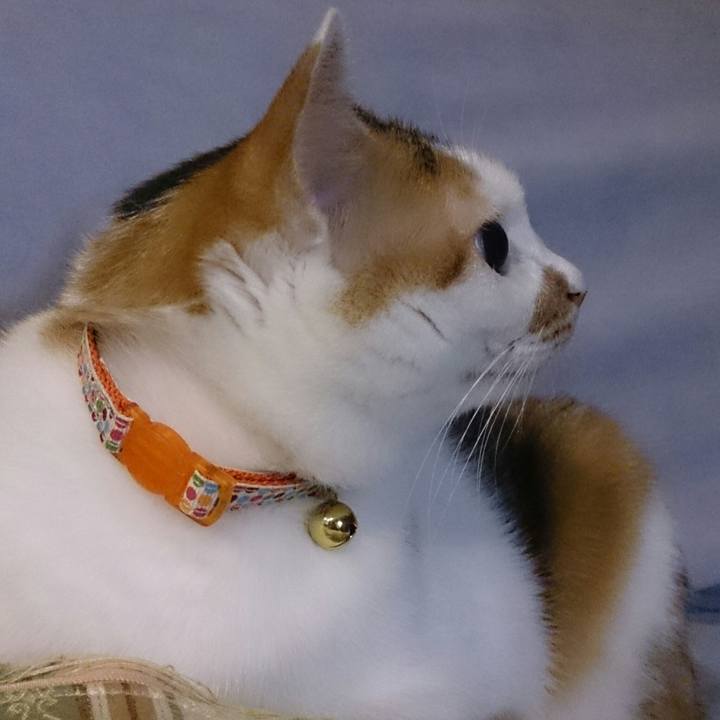 5ace1a98 2857 4ddd 8d2b 05e7ced219e5