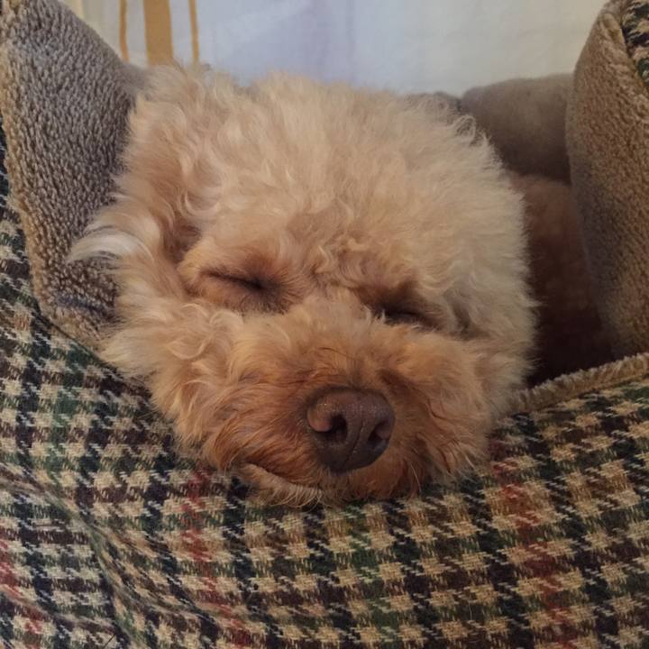 5ace4bda 4ebf 4857 8d77 e4bdff619b20