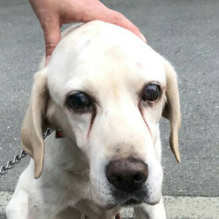 5acee7d5 2b4f 4e38 bc2b cd338b0328a5