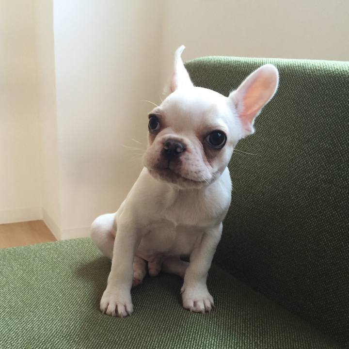 5acef341 2f47 419c a1bd 9a5f52aa5a45