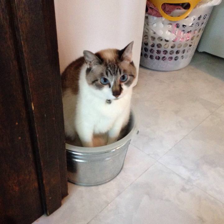 5aceff87 af0b 4124 81b2 88759cb67ec0