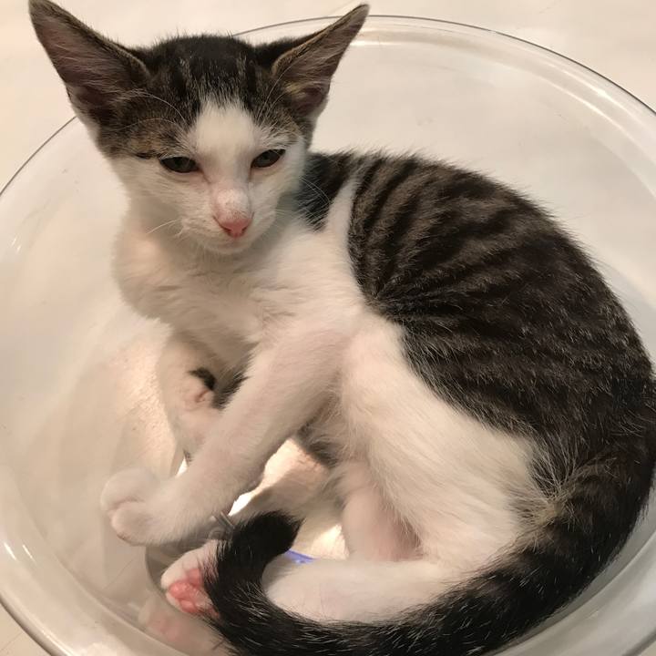 5acf4a84 6884 4ef8 b237 6255dbffdfb3