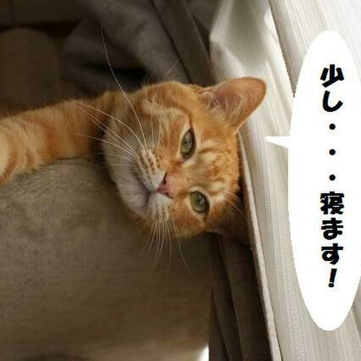 5acfab94 4867 4fc3 9340 5cc0d865acb1