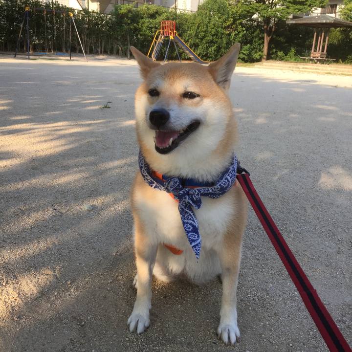 5acfb059 ea50 4db5 86f2 5abab13c4606