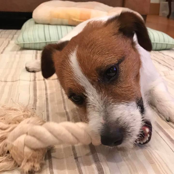 5acfb9e5 4251 4b31 8aa3 f54e1995ceae