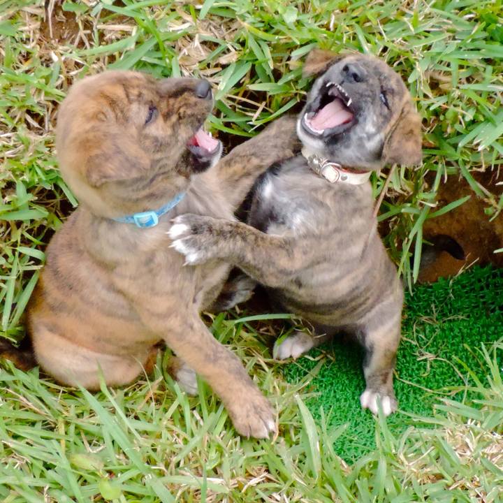 5ad086b4 50b0 4d36 8837 789c7fc42968