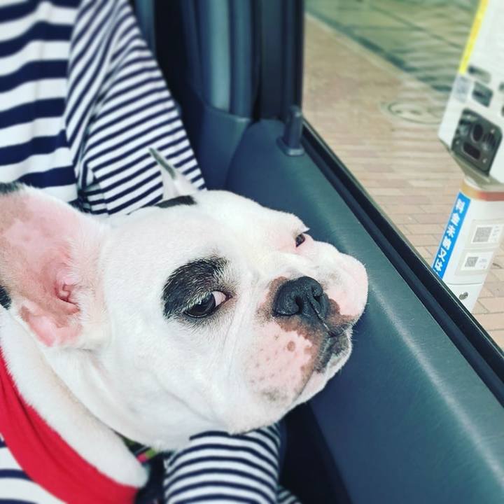 5ad09e15 a403 4e1b b28c c8c5d203175b