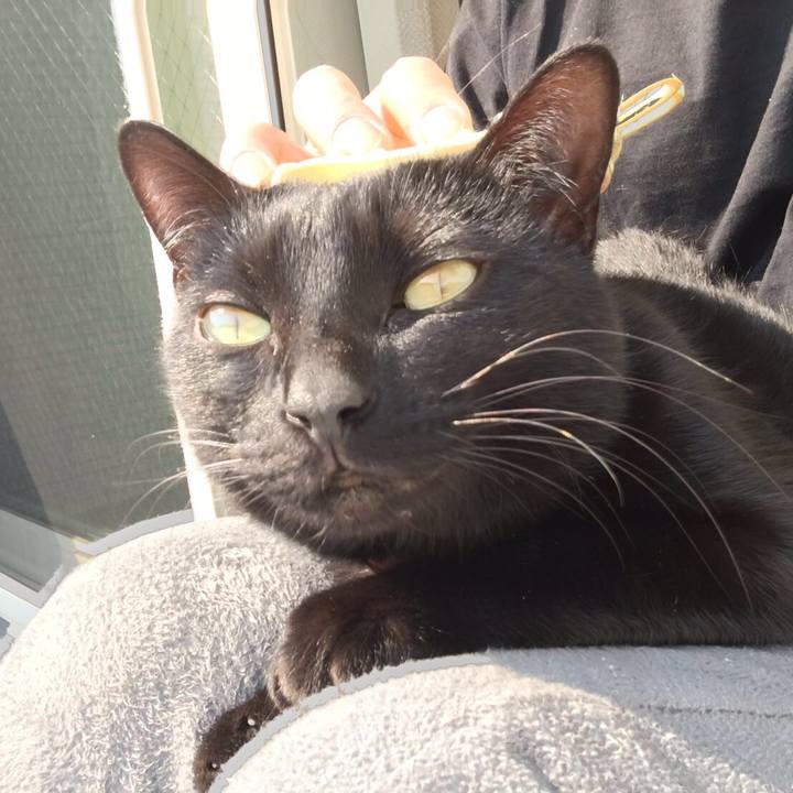 5ad1003a bd00 4de0 88cf b872820ef5d0