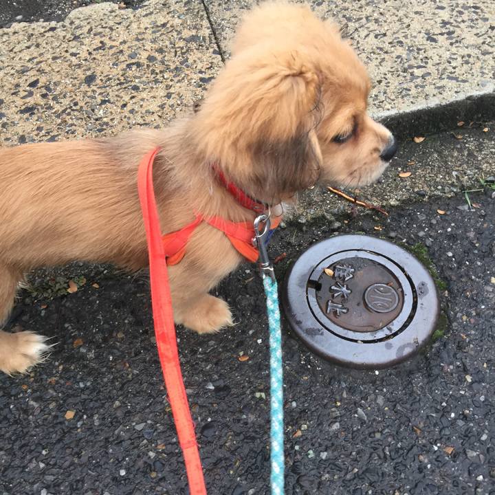 5ad1c22a b6ac 40b8 80b6 9c8db0bfe4e3