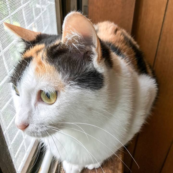 5ad224b0 053d 4d66 9d22 52455466cfe1