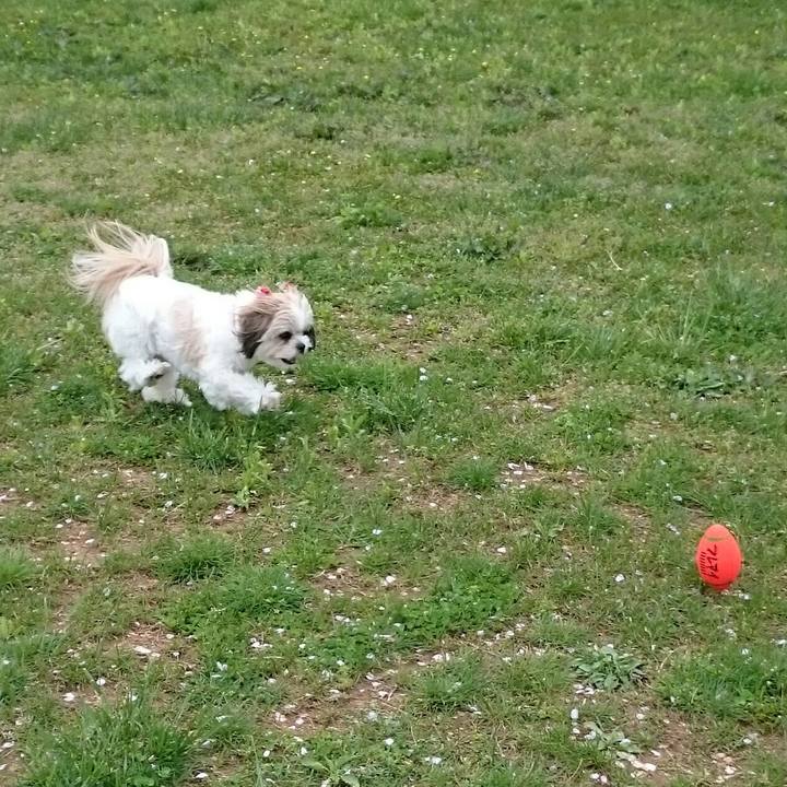 5ad3a734 c22d 451b a9af 416c5a63c860