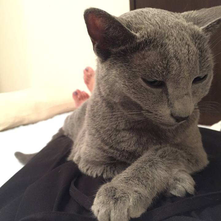 5ad3fb3c 9007 43ab 9fca 3f5a110c3017