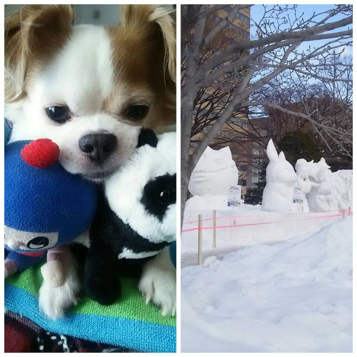 5ad408ae 05b0 473a be5f 74166c89149b