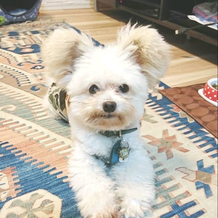 5ad42dcf a840 4b91 a07a 17e0d9ed9a1a