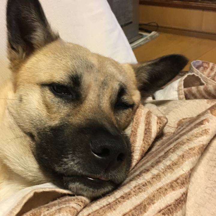 5ad51edd 5a68 46ce 8754 cedf170d033a