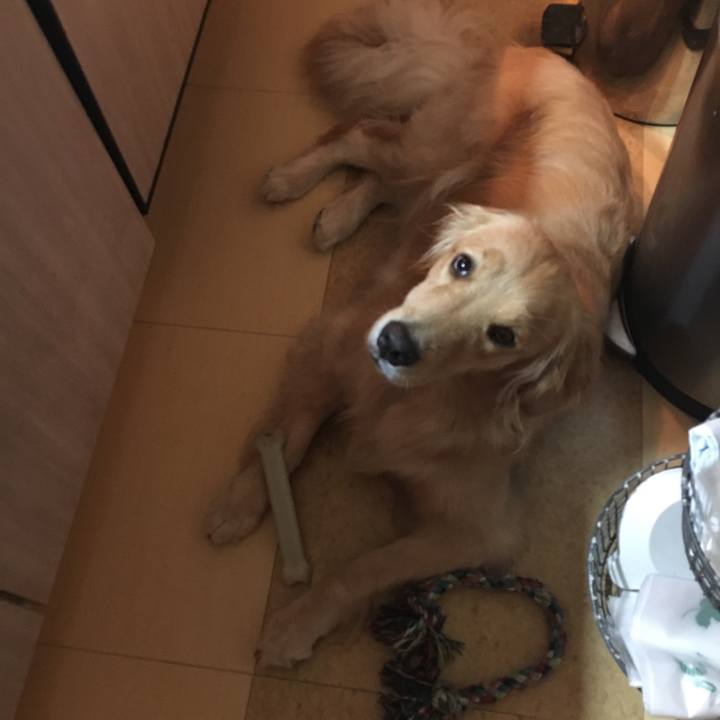 5ad6059e a59f 45e8 863c 1ac98073a8bb