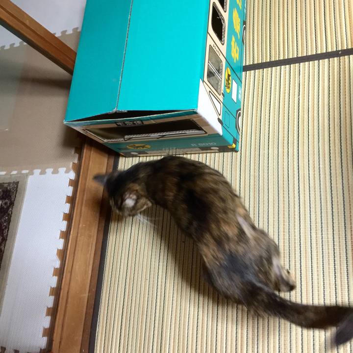 5ad6333f b8e9 4120 b772 d4efe2c755fd