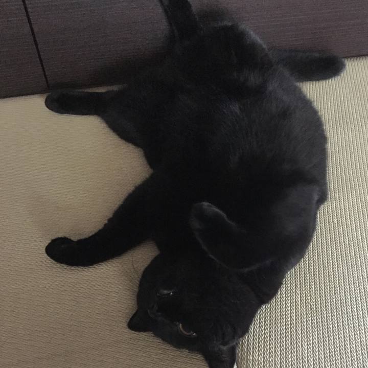 5ad67dbc 81b1 4a85 a152 e9ef543a0234